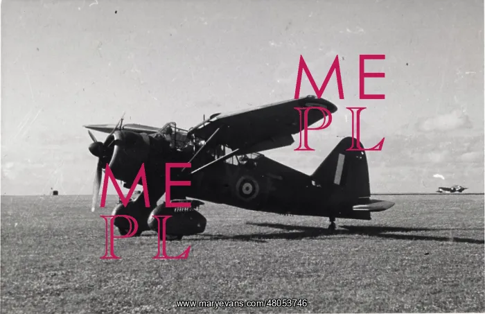 : Westland Lysander : Westland Lysander
