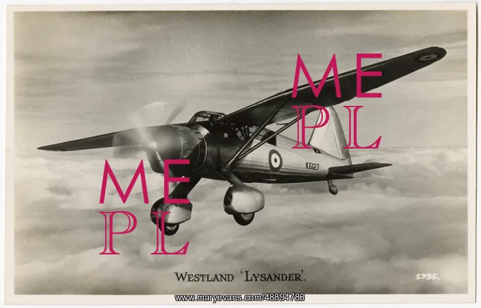 : WESTLAND LYSANDER : WESTLAND LYSANDER