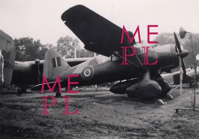 : Westland Lysander III : Westland Lysander III