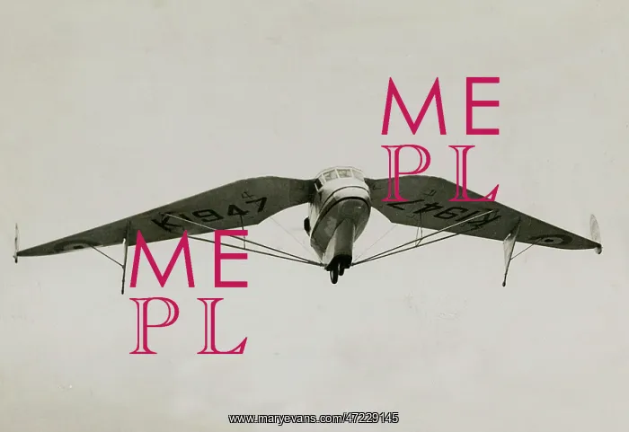 : WESTLAND PTERODACTYL 1 : WESTLAND PTERODACTYL 1