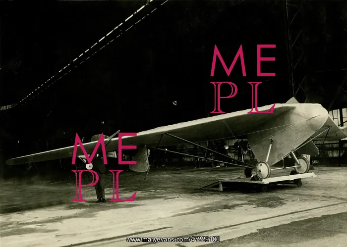 : WESTLAND PTERODACTYL 2 : WESTLAND PTERODACTYL 2
