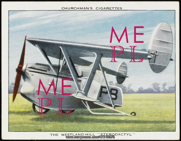 : WESTLAND PTERODACTYL : WESTLAND PTERODACTYL