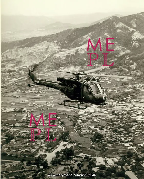 : Westland Scout AH1 : Westland Scout AH1