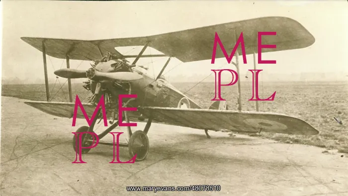 : Westland Wagtail J6582 : Westland Wagtail J6582