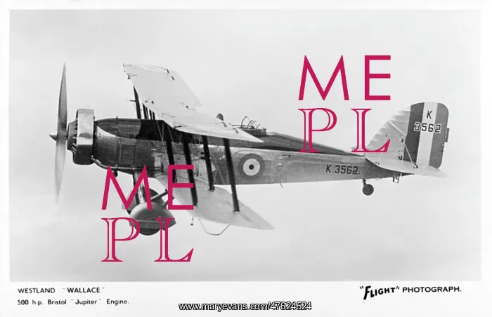 : Westland Wallace British biplane : Westland Wallace British biplane