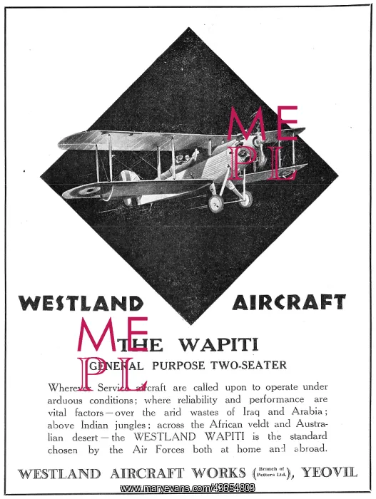  : Westland Wapiti