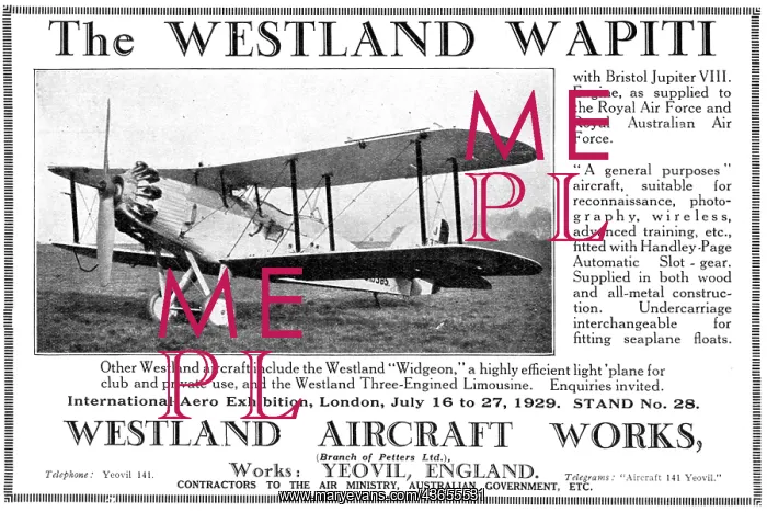  : Westland Wapiti