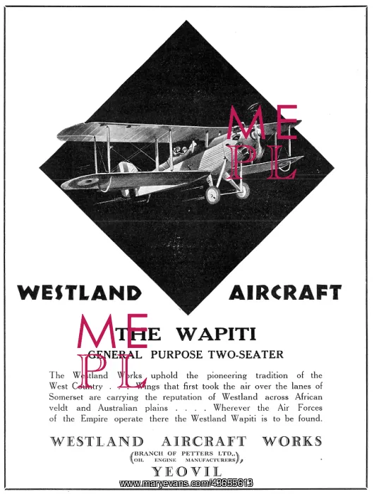  : Westland Wapiti