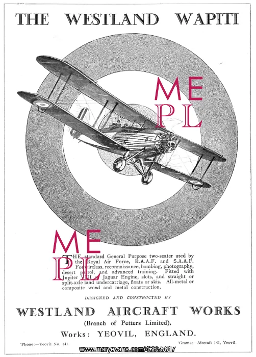  : Westland Wapiti