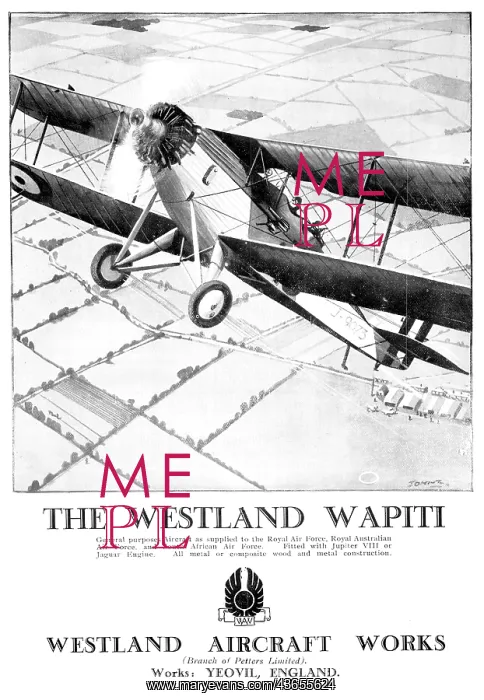  : Westland Wapiti