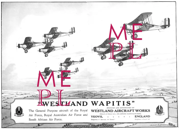  : Westland Wapiti