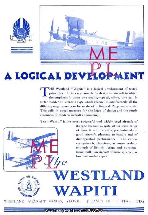  : Westland Wapiti