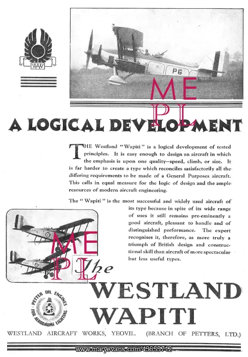  : Westland Wapiti
