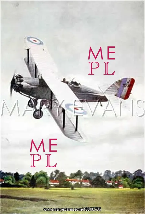 : WESTLAND WAPITI : WESTLAND WAPITI