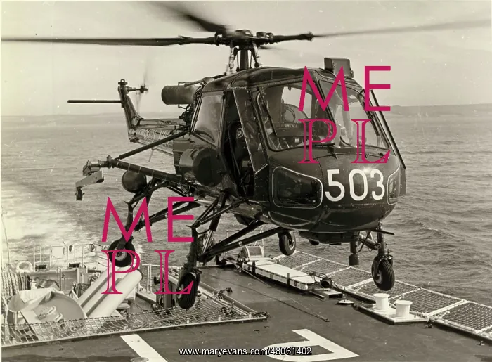 : Westland Wasp HAS1 XT421 : Westland Wasp HAS1 XT421