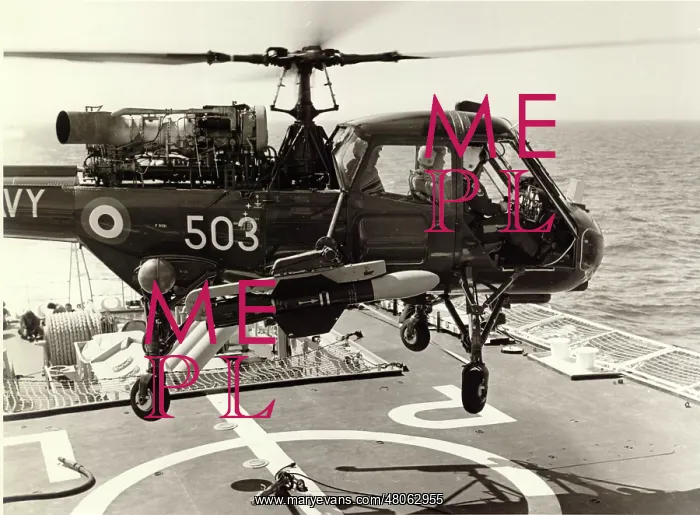 : Westland Wasp HAS1 XT421 : Westland Wasp HAS1 XT421