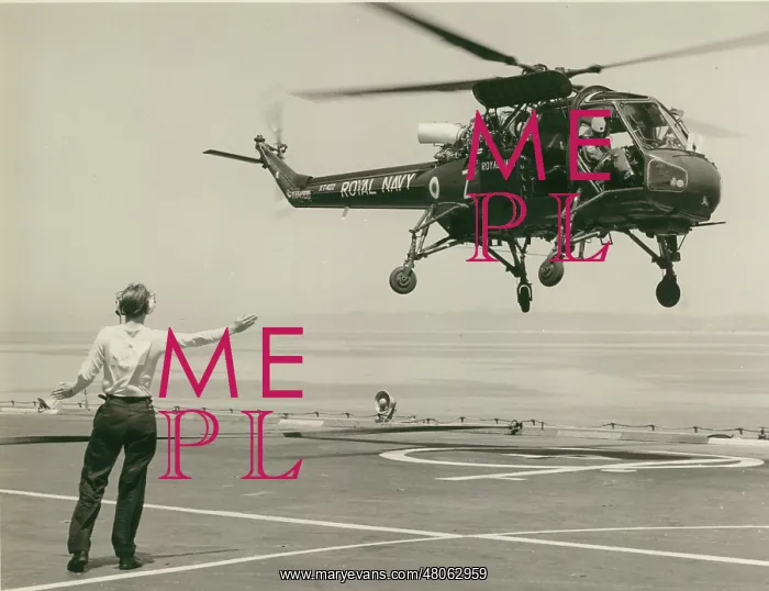 : Westland Wasp HAS1 XT422 : Westland Wasp HAS1 XT422