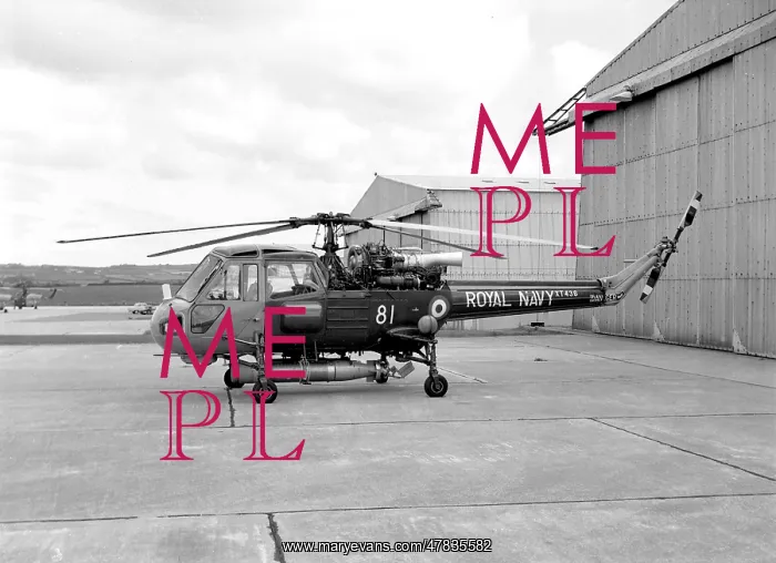 : Westland Wasp HAS.1 XT436 : Westland Wasp HAS.1 XT436