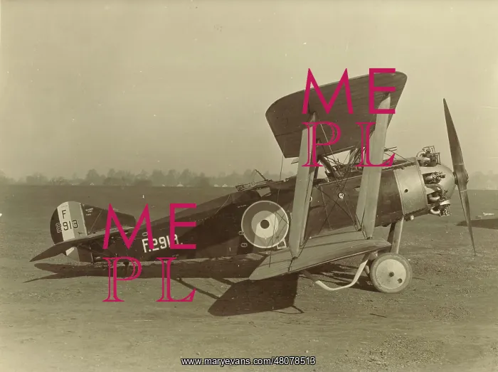 : Westland Weasel F2913 : Westland Weasel F2913