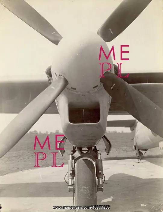  : Westland Welkin, DX340