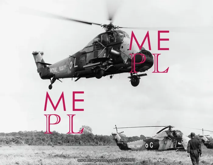 : Westland Wessex : Westland Wessex