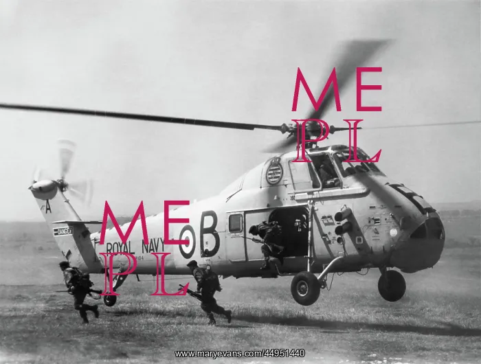 : Westland Wessex : Westland Wessex