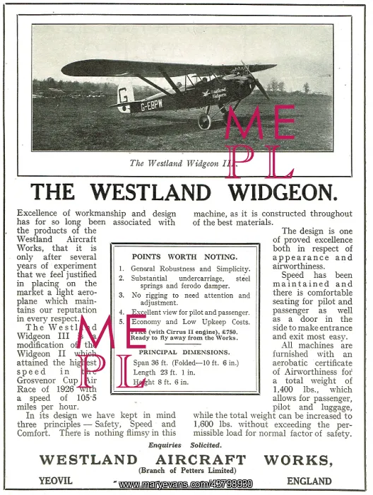  : Westland Widgeon
