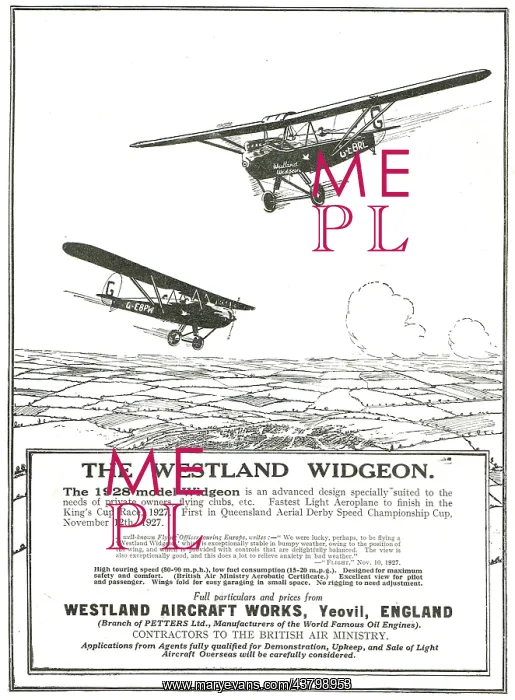  : Westland Widgeon