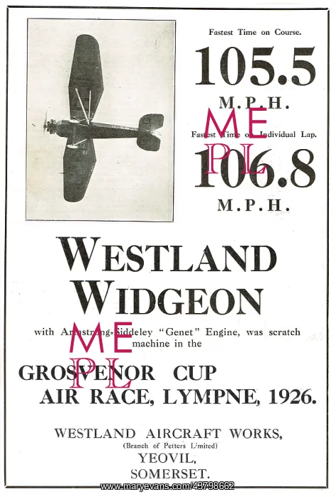  : Westland Widgeon Fastest On Course In The Grosvenor Cup