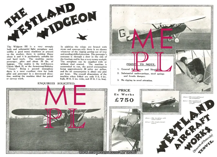  : Westland Widgeon III