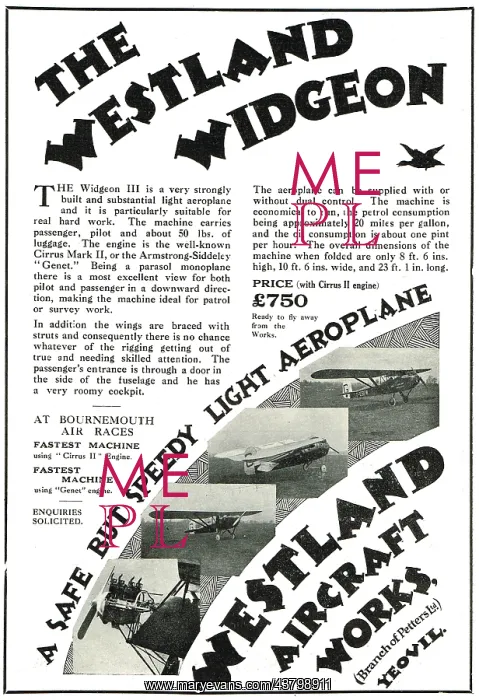  : Westland Widgeon III