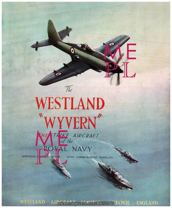 : Westland Wyvern : Westland Wyvern