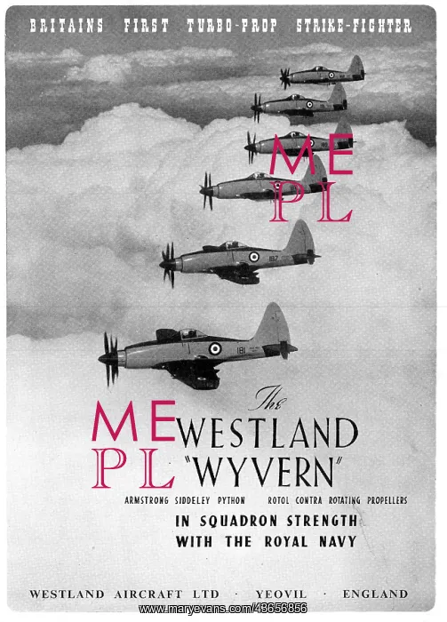 : Westland Wyvern : Westland Wyvern