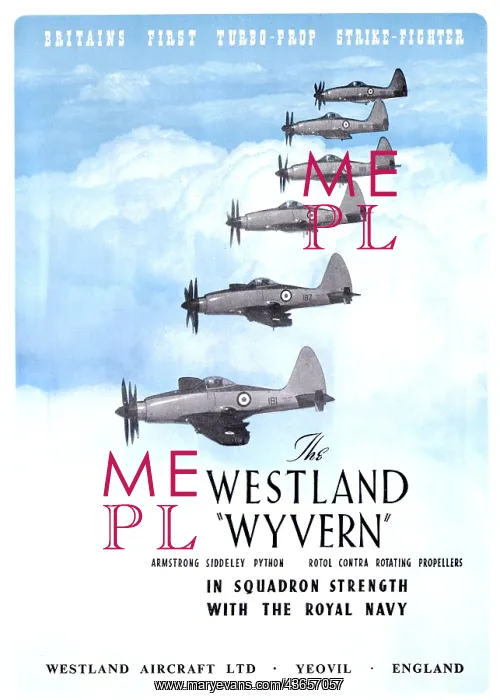 : Westland Wyvern : Westland Wyvern