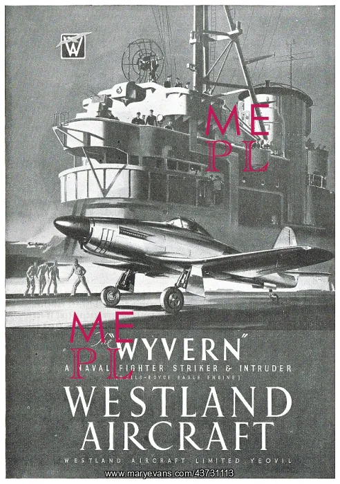  : Westland Wyvern