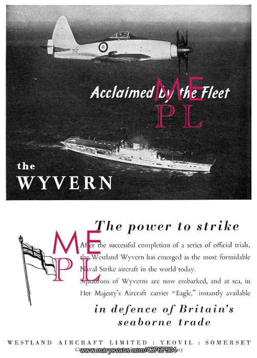 : Westland Wyvern : Westland Wyvern