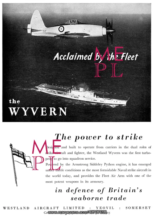 : Westland Wyvern : Westland Wyvern