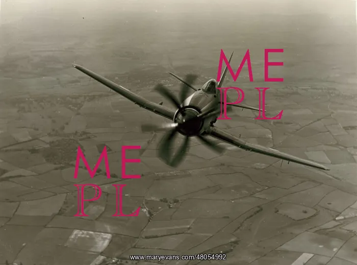 : Westland Wyvern : Westland Wyvern