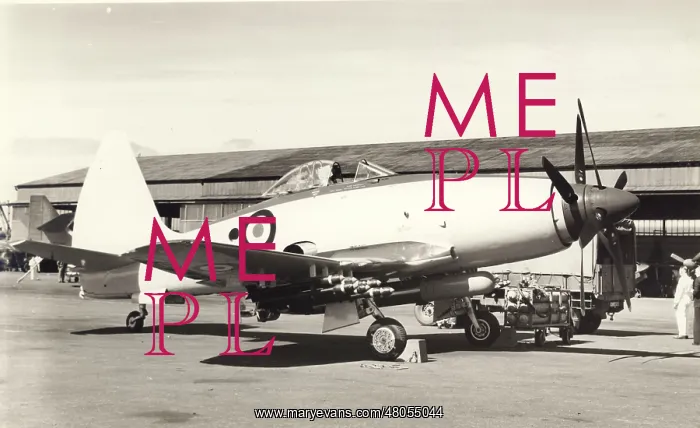 : Westland Wyvern : Westland Wyvern