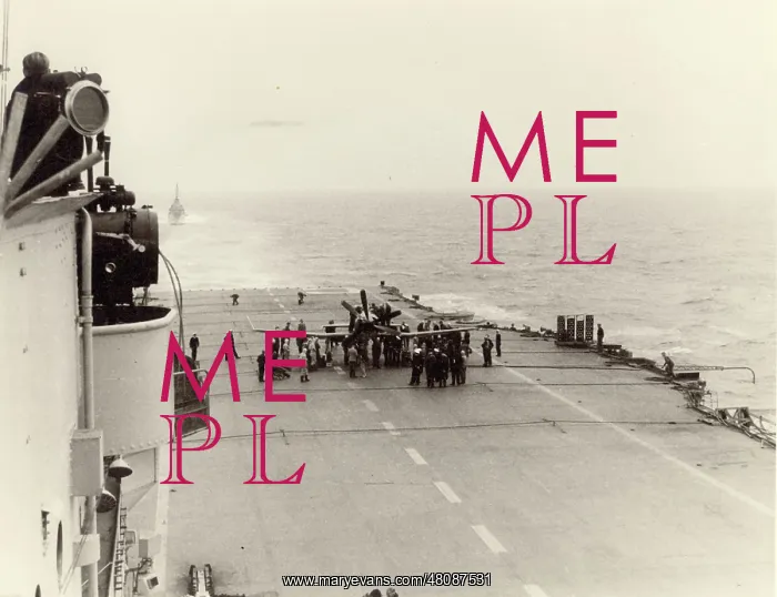 : Westland Wyvern after landing on deck : Westland Wyvern after landing on deck