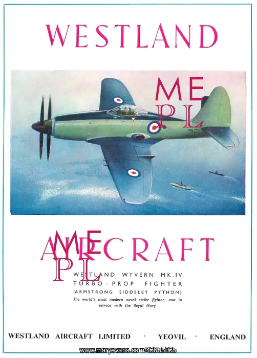  : Westland Wyvern MK.IV