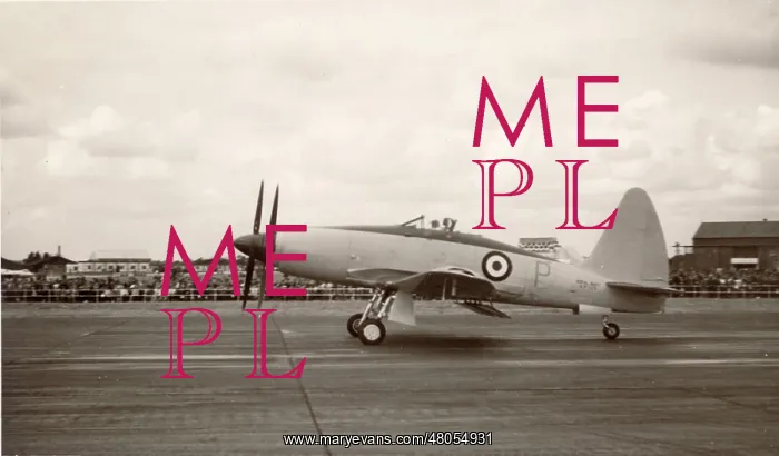 : Westland Wyvern prototype : Westland Wyvern prototype