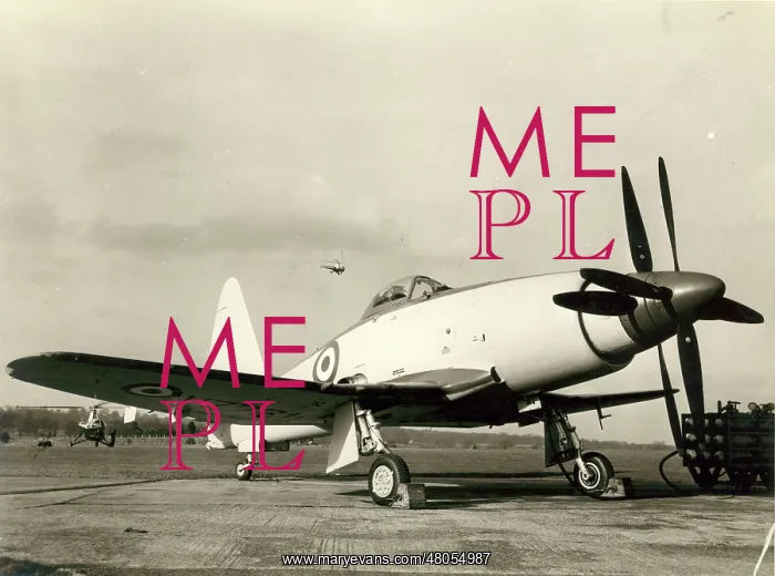 : Westland Wyvern S4 VZ751 : Westland Wyvern S4 VZ751