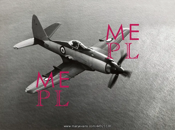 : Westland Wyvern TF-2 : Westland Wyvern TF-2