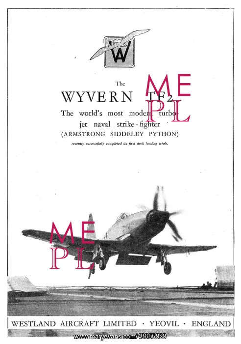  : Westland Wyvern TF2