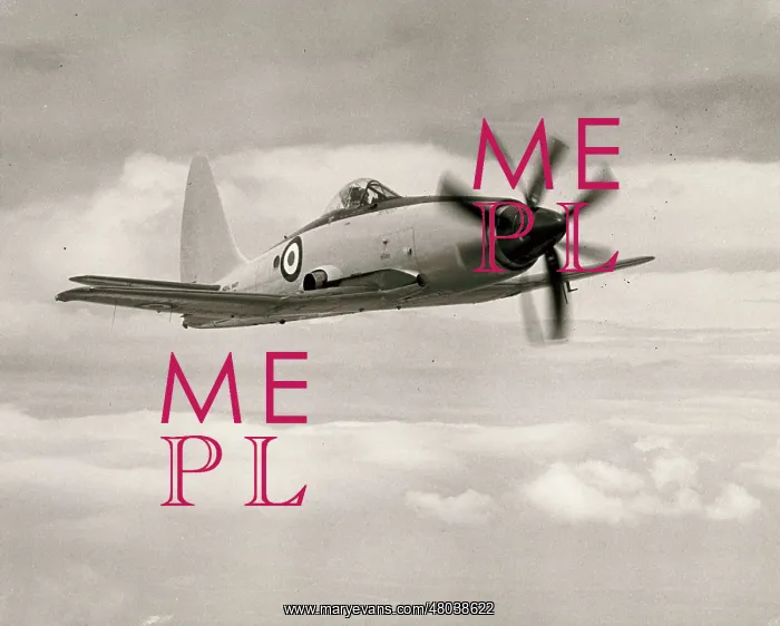 : Westland Wyvern TF2 in flight : Westland Wyvern TF2 in flight