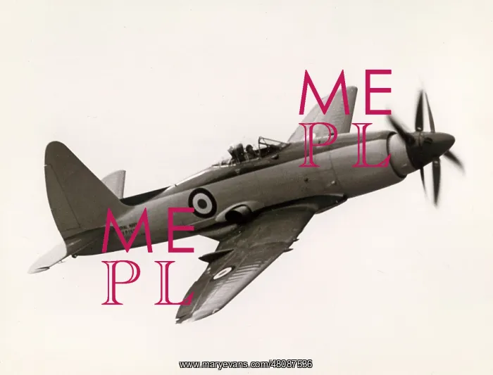 : Westland Wyvern TF2, VP109 : Westland Wyvern TF2, VP109
