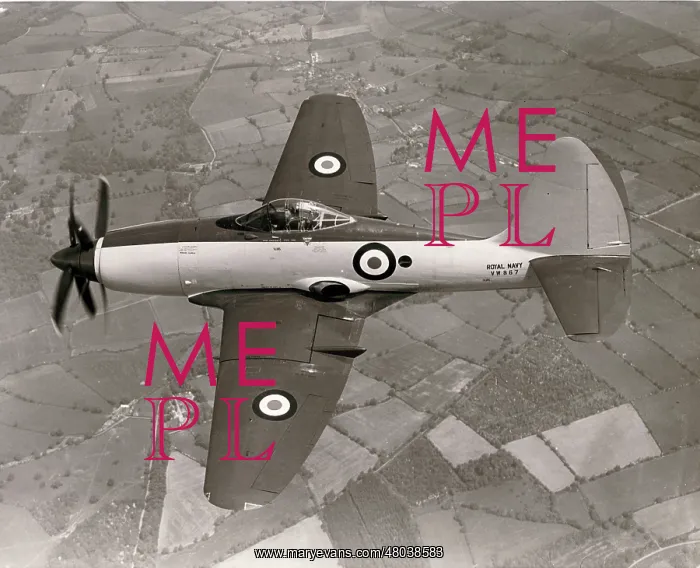 : Westland Wyvern TF2 VW867 : Westland Wyvern TF2 VW867