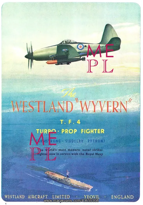  : Westland Wyvern T.F.4
