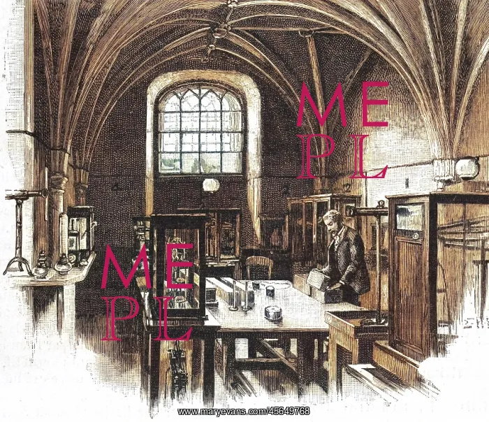 : WESTMINSTER WEIGHTS 1892 : WESTMINSTER WEIGHTS 1892